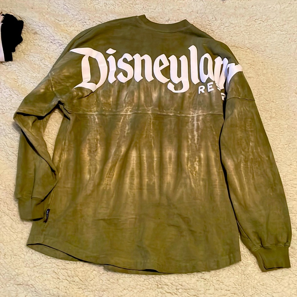 ‼️LAST CHANCE ‼️ Disneyland spirit jersey